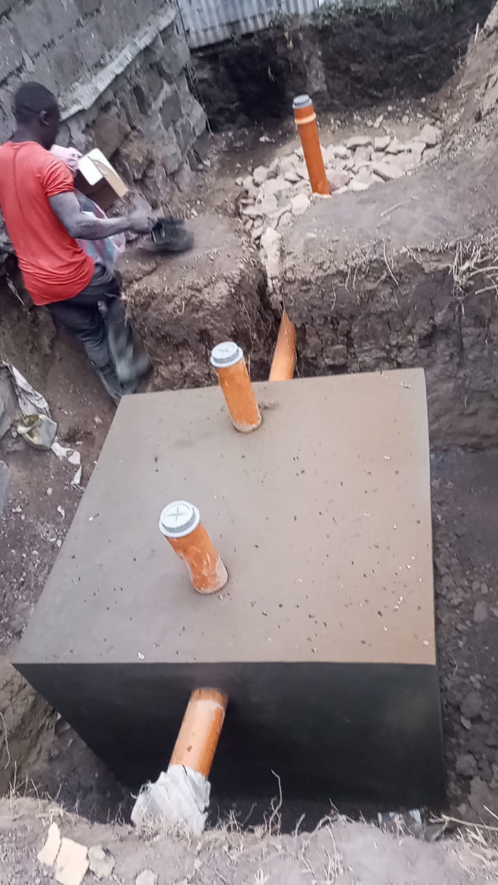project images
