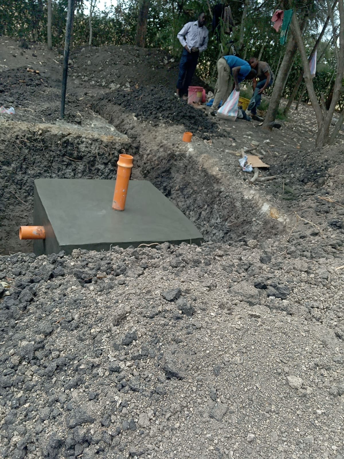 project images